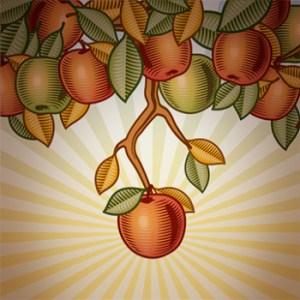 Low-hanging fruit. Enough said