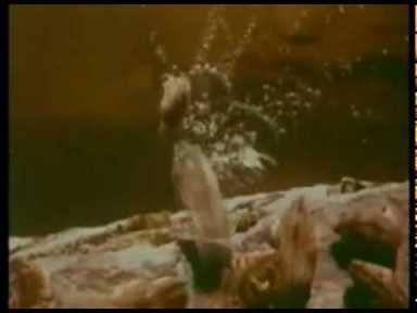 The infamous scene in Disney's 