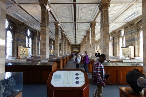 natural-history-museum-2535162